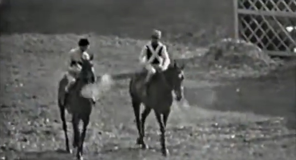 Arkle: The Greatest Steeplechaser